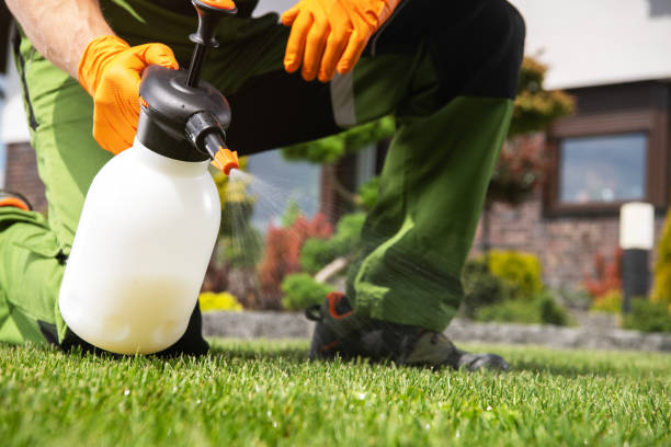 Professional Pest Control in Lowellville, OH